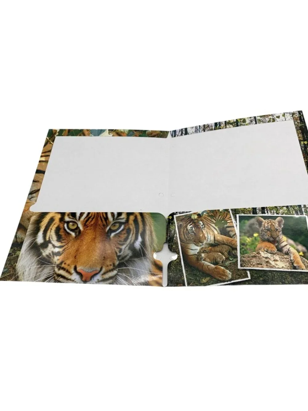 Vintage 2 Mead Christian Riese Lassen Tiger Theme Pocket Folders and 1 Class Act